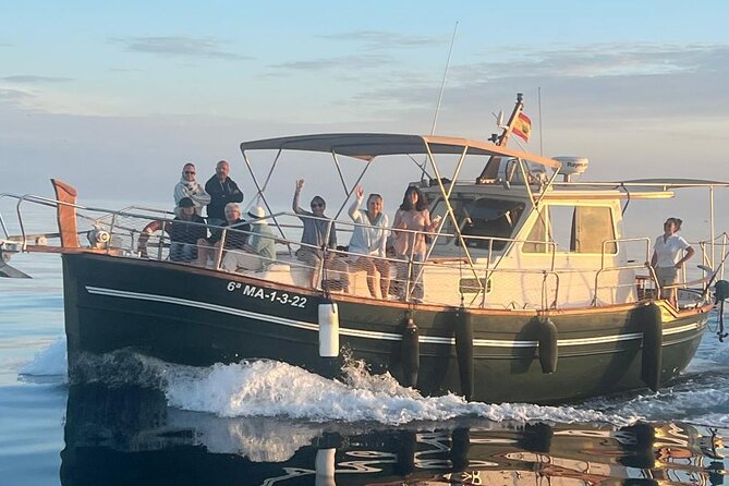 2-Hour Excursion in Search of Dolphins/ Includes Drink and Snacks - Searching for dolphins off Estepona