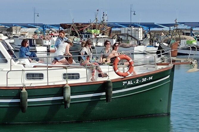 2-Hour Excursion in Search of Dolphins/ Includes Drink and Snacks - The swimming stop and what to pack