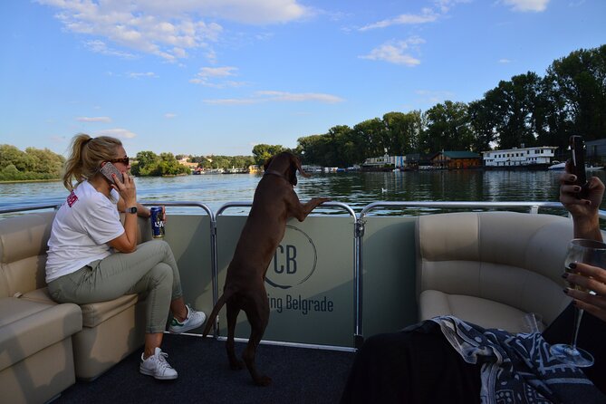 2 hours / Sightseeing Boat cruise Drinks Included - Under Belgrade’s major bridges