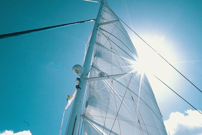 2hrs Dolphins Sunset Sailing Cruise With Drink - Key points to know before you book