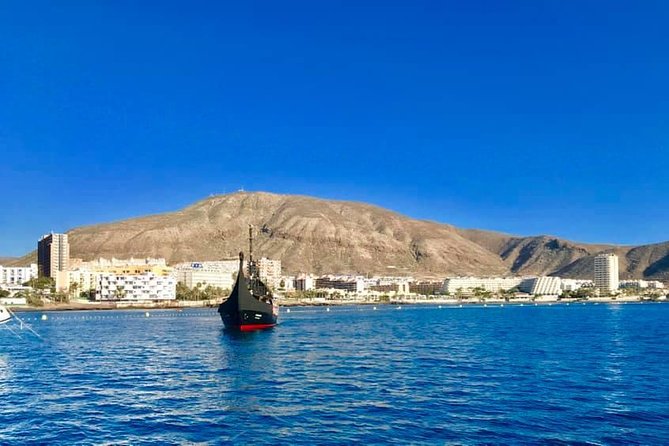 3h Viking Cruise with Drinks, Whales watching & Swimming Time - Setting sail from Los Cristianos at 1 p.m.
