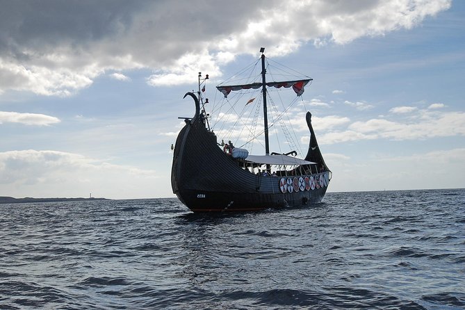 3h Viking Cruise with Drinks, Whales watching & Swimming Time - Who will enjoy the Ragnarok most?