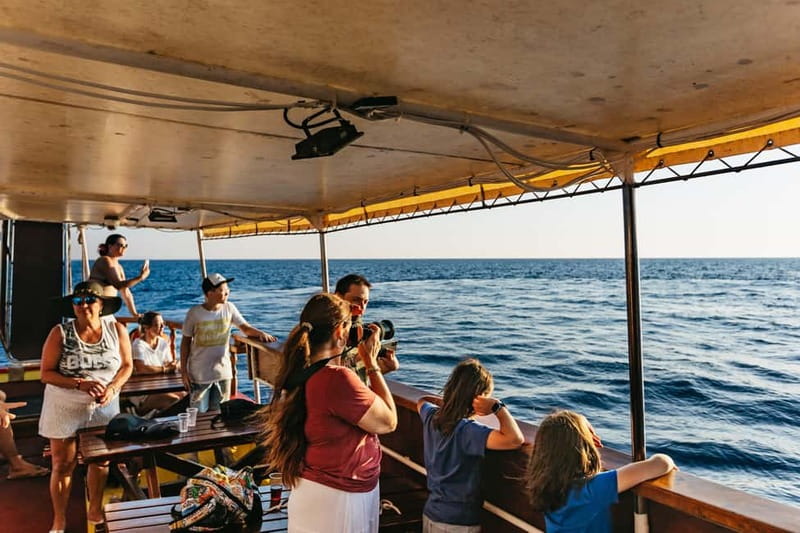 3hours Dolphin Sunset watching with unlimited drinks +dinner - Practical tips for a smoother evening