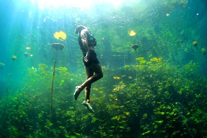 4-in-1 Cenote Tour Guided Experience with Breakfast, Lunch & Wine - Why four cenotes make this a strong day trip