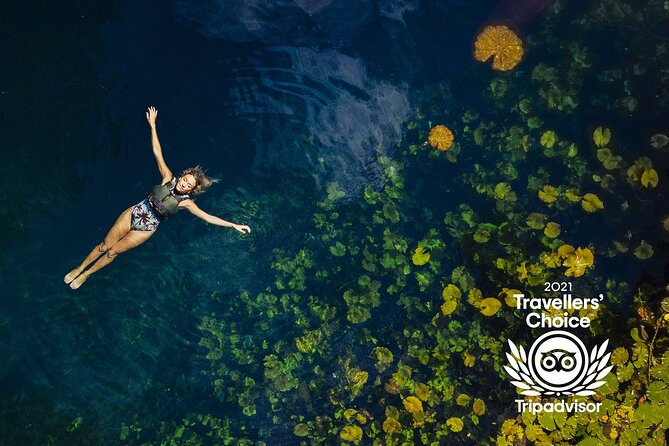 4-in-1 Cenote Tour Guided Experience with Breakfast, Lunch & Wine - Há, the Water Cenote by kayak and snorkel