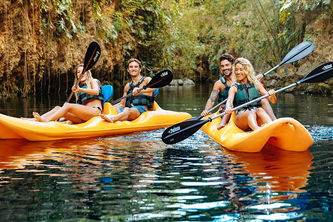 4-in-1 Cenote Tour Guided Experience with Breakfast, Lunch & Wine - The jungle picnic with wine and beer