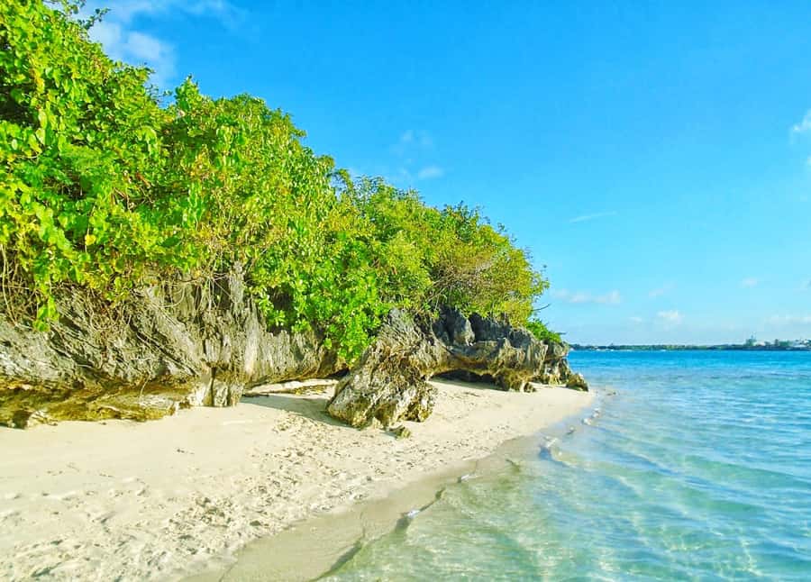 5 Islands Trip & Ile aux Cerfs inc Lunch, Drinks & Transport - Blue Bay begins the day with fish and clear water