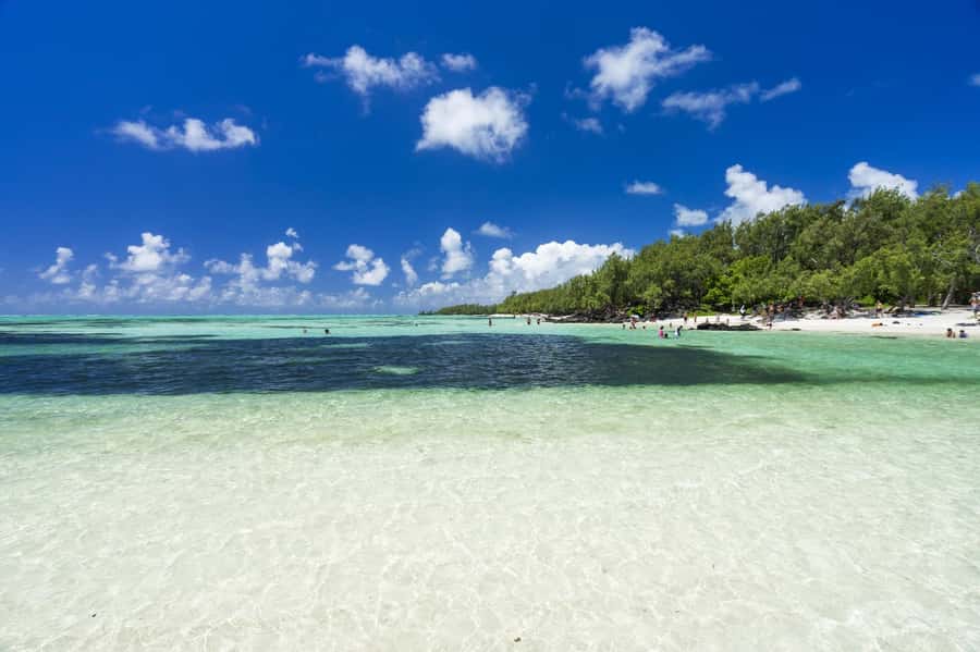 5 Islands Trip & Ile aux Cerfs inc Lunch, Drinks & Transport - A beach barbecue at Ilot Mangenie