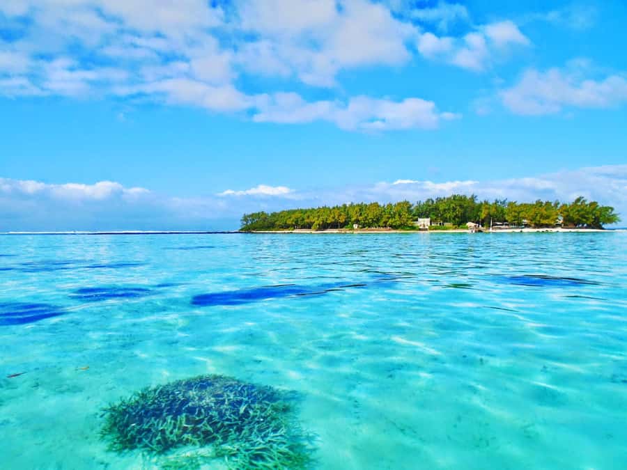 5 Islands Trip & Ile aux Cerfs inc Lunch, Drinks & Transport - Booking details that affect your day