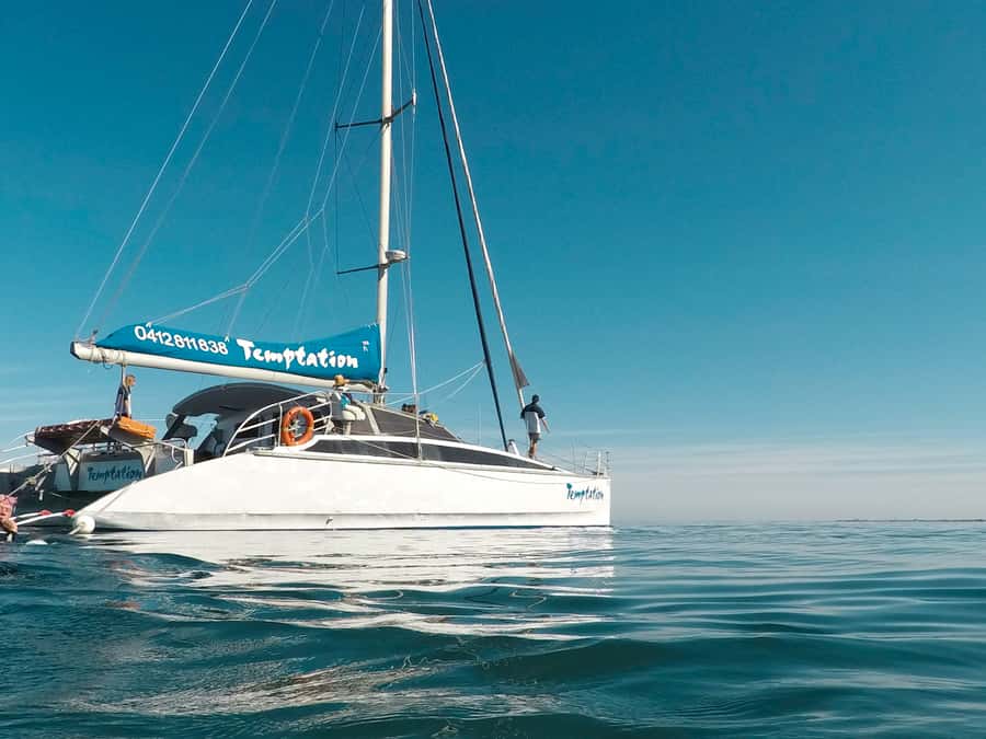 Adelaide: Glenelg Twilight Catamaran Cruise with Drink - Watching the sunset with a drink in hand