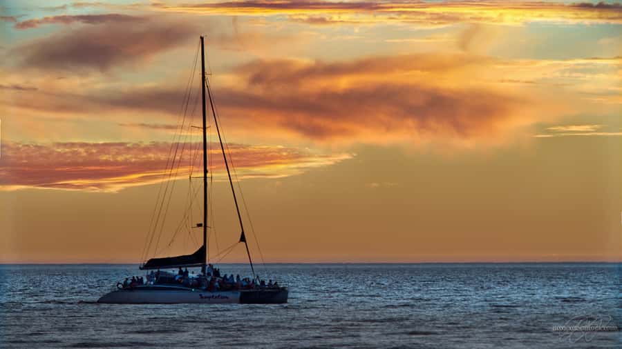 Adelaide: Glenelg Twilight Catamaran Cruise with Drink - The crew and the mood