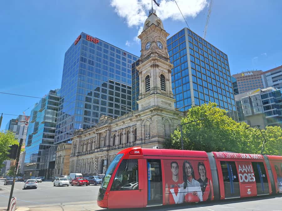 Adelaide: Guided Ultimate Walking Tour with Drink and Snack - Karrawirra Parri and the riverside tasting