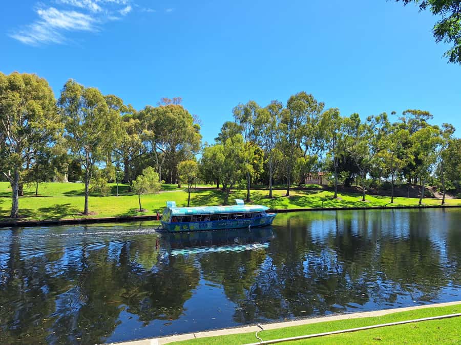 Adelaide: Guided Ultimate Walking Tour with Drink and Snack - Elder Park and the walk toward Central Market