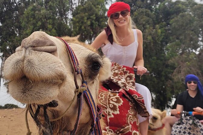 Agadir Camel Rides with Tea Drink & cakes - Key points at a glance