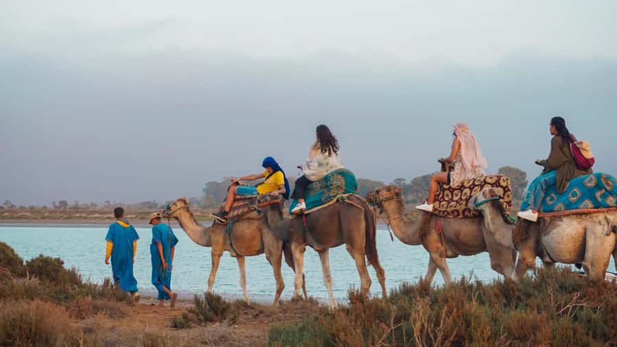 Agadir/Taghazout: Camel Ride with Tea Drink and Transfers - The camel itself is part of the experience