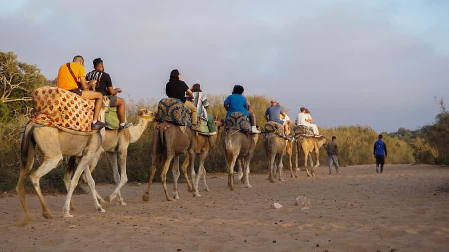 Agadir/Taghazout: Camel Ride with Tea Drink and Transfers - Greenery, open ground, and the river area