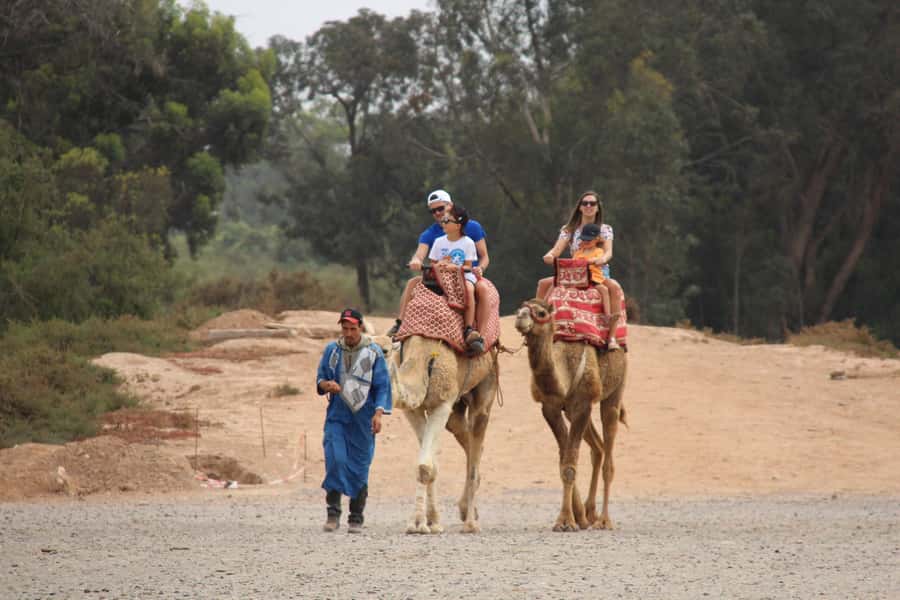 Agadir/Taghazout: Camel Ride with Tea Drink and Transfers - How the scenery affects the value