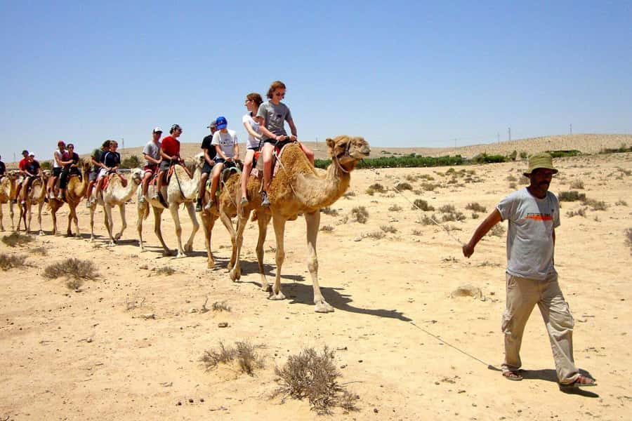 Agadir/Taghazout: Camel Ride with Tea Drink and Transfers - Is this Agadir camel ride worth booking?