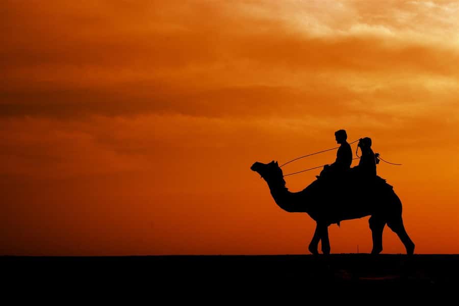Agadir/Taghazout: Camel Rides with Tea Drink and Transfer - Booking flexibility and language options