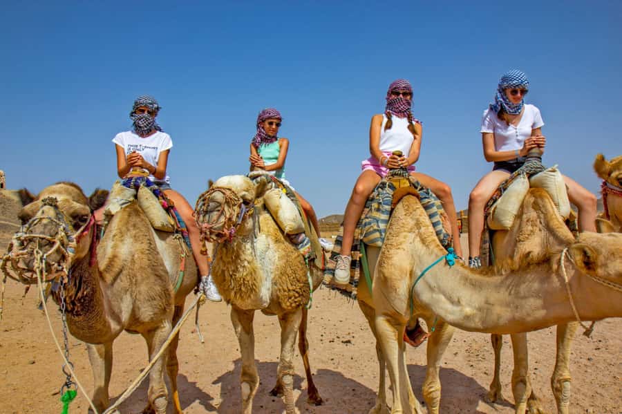 Agadir/Taghazout: Camel Rides with Tea Drink and Transfer - The tea stop is part of the experience