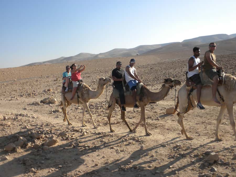 Agadir/Taghazout: Camel Rides with Tea Drink and Transfer - What the $38 price really covers