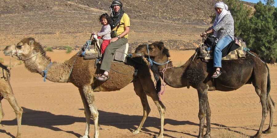 Agadir/Taghazout: Camel Rides with Tea Drink and Transfer - Who will enjoy this most