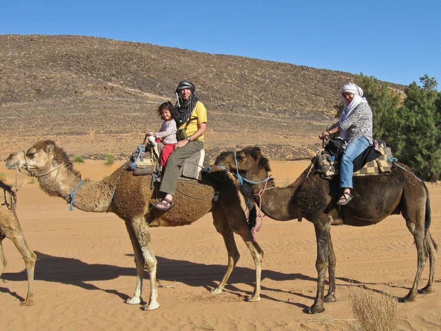 Agadir/Taghazout: Camel Rides with Tea Drink and Transfer - Practical tips before you go