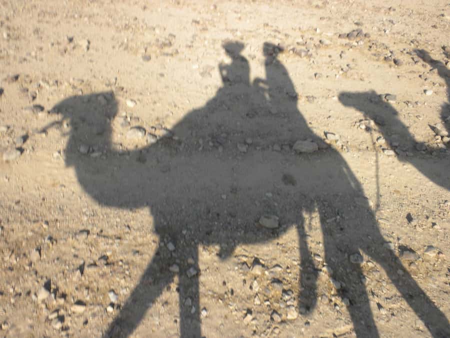 Agadir/Taghazout: Camel Rides with Tea Drink and Transfer - Getting settled on the camel