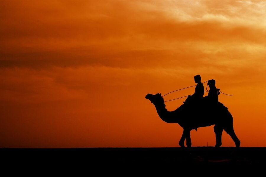 Agadir/Taghazout: Camel Rides with Tea Drink and Transfers - Booking details worth noting