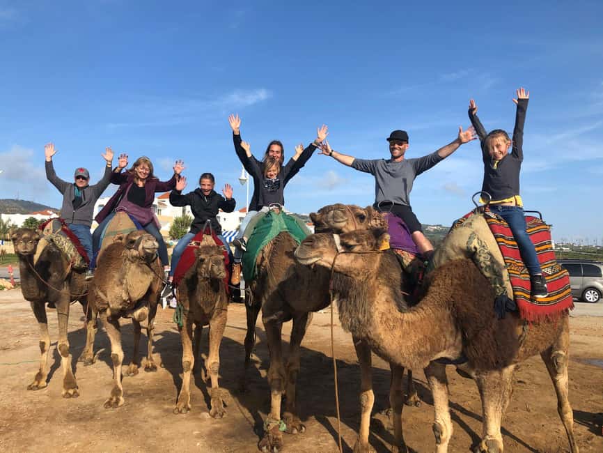 Agadir/Taghazout: Camel Rides with Tea Drink and Transfers - A gentle start outside Agadir
