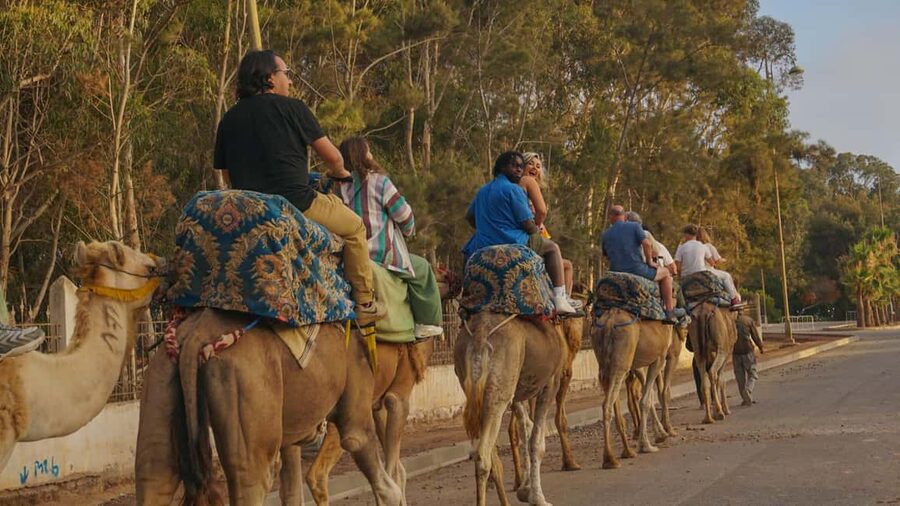 Agadir/Taghazout: Camel Rides with Tea Drink and Transfers - Riding toward the river and coast