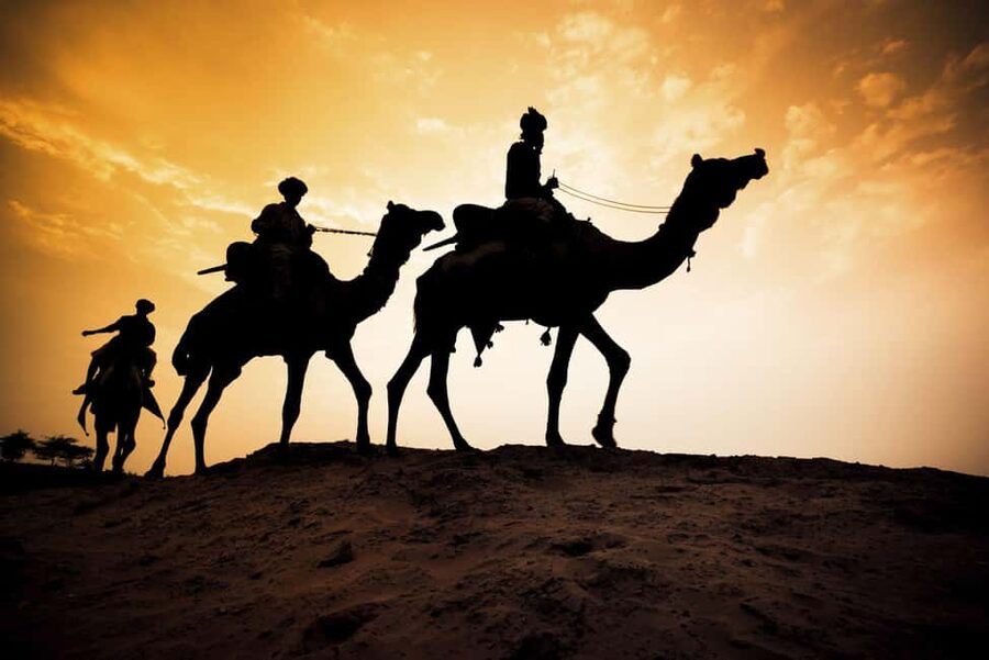 Agadir/Taghazout: Camel Rides with Tea Drink and Transfers - Sunset rides and photography