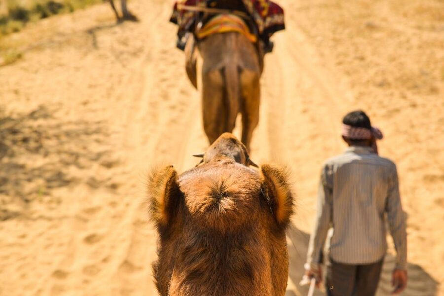 Agadir/Taghazout: Camel Rides with Tea Drink and Transfers - Mint tea at the ranch
