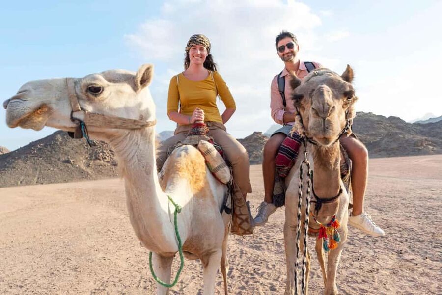 Agadir/Taghazout: Camel Rides with Tea Drink and Transfers - Is $22 good value?