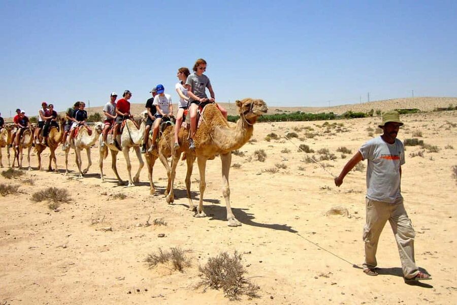 Agadir/Taghazout: Camel Rides with Tea Drink and Transfers - Who should book this camel ride?