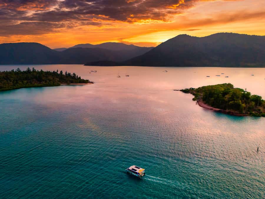 Airlie Beach: Bottoms Up Sunset Cruise with Drink - The glass-bottom view is the real twist