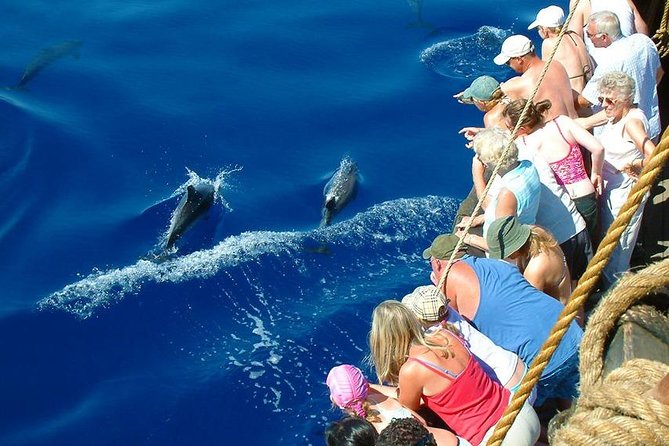 Alanya Boat Trip with Unlimited Soft Drinks and Lunch - What the onboard atmosphere is really like