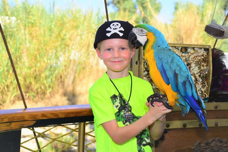 Alanya: Pirate Boat Trip with Meal, Drinks and Pickup Option - Lunch is simple, included, and better with realistic expectations