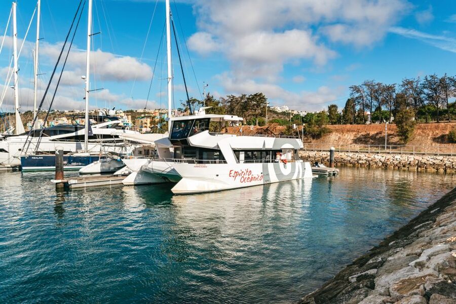 Albufeira: Sightseeing Cruise with Beach BBQ and Open Bar - A BBQ lunch with a proper choice of food