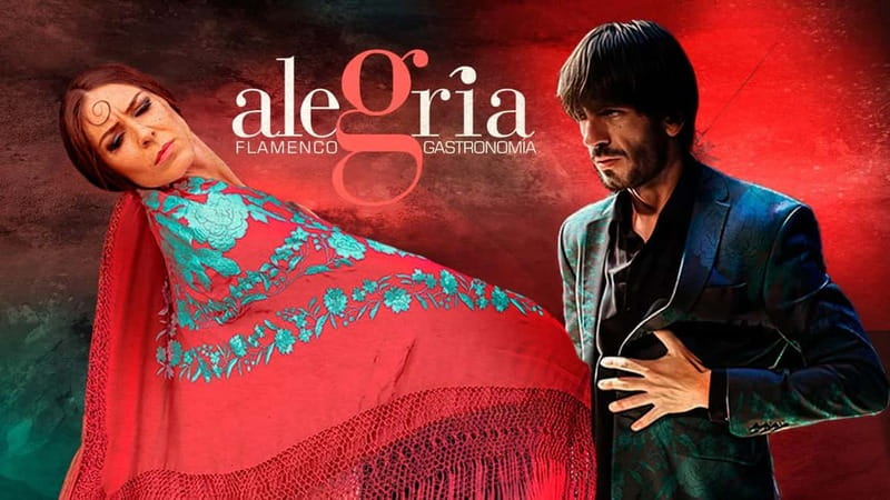 Alegria Flamenco in Malaga, with Transfer, Cocktail and Premium Location - What the premium location really gives you