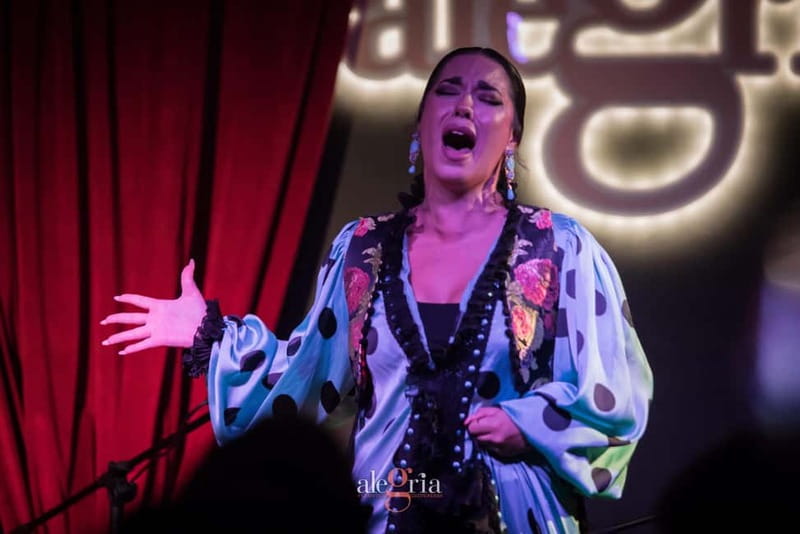 Alegria Flamenco in Malaga, with Transfer, Cocktail and Premium Location - Arriving near Pier One in central Málaga