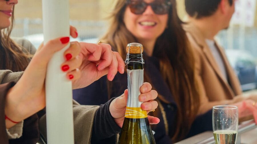 Amsterdam: Dutch Prosecco Party Bike - Starting at Rhoneweg 1