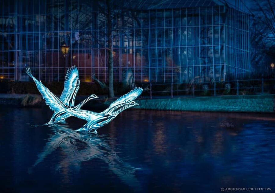 Amsterdam: Light Festival Boat+Unlimit.Drinks & Snack Option - Key points to know before booking