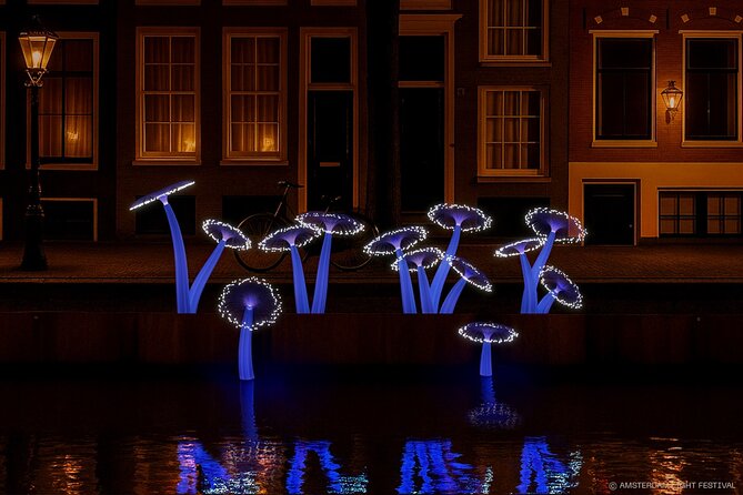 Amsterdam: Light Festival Boat with Unlimited Drinks & Snack - Choosing the right departure time