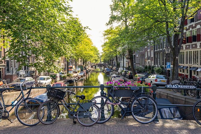 Amsterdam Walking Tour and Cruise with Drinks and Cheese Tasting - The one-hour canal cruise with drinks and cheese