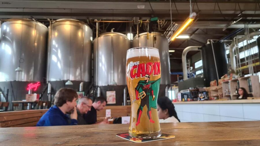 Antwerp: Pub Crawl in the Historical City - What the $106 Private Price Really Buys