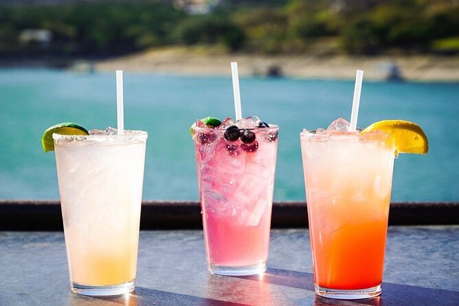 Austin Lake Travis Barge Crawl Bar Hopping Tour by Boat - What the $100 price really covers
