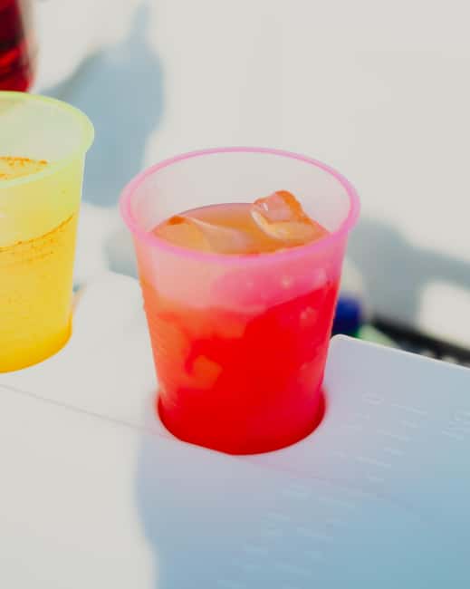Bacalar Lagoon Sailing Tour with Open Bar and Mexican Lunch - Who should book this sailing tour?