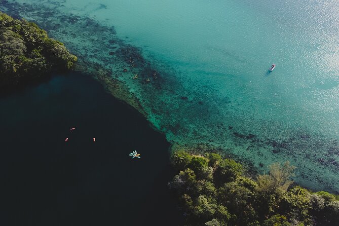 Bacalar Lagoon Sightseeing Boat Tour with Open Bar and Snacks - The open bar adds value, with one important limit