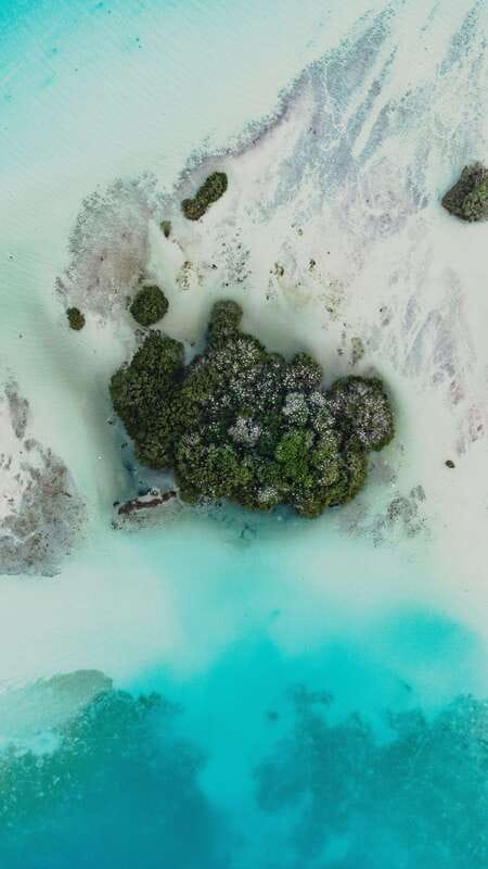 Bacalar Lagoon Sightseeing Boat Tour with Open Bar & Snack - What $55 includes, and what it does not